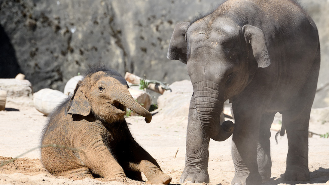 © Marcel Vogelfänger